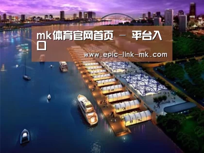 案例展示八