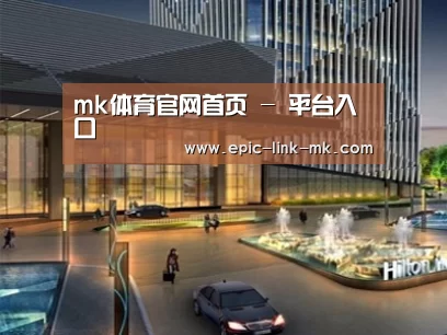 案例展示二