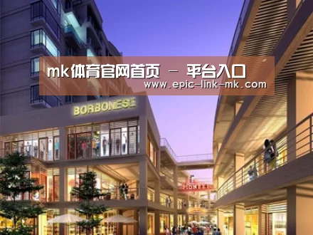 案例展示一