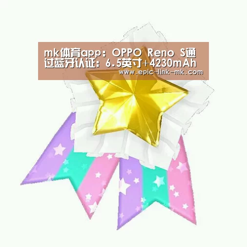 mk体育app:OPPO Reno S通过蓝牙认证:6.5英寸+4230mAh电池(图3) mk体育官方