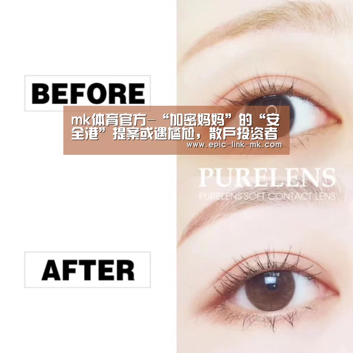 mk体育官方-“加密妈妈”的“安全港”提案或遇尴尬,散户投资者易受“欺诈”(图2) mk体育