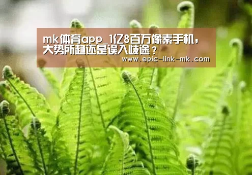 mk体育